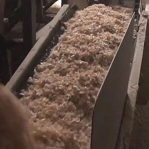 Experience unmatched efficiency with Inotech's SHAVER for top-quality animal bedding, boasting an eco-friendly electric system, rapid knife change, and...