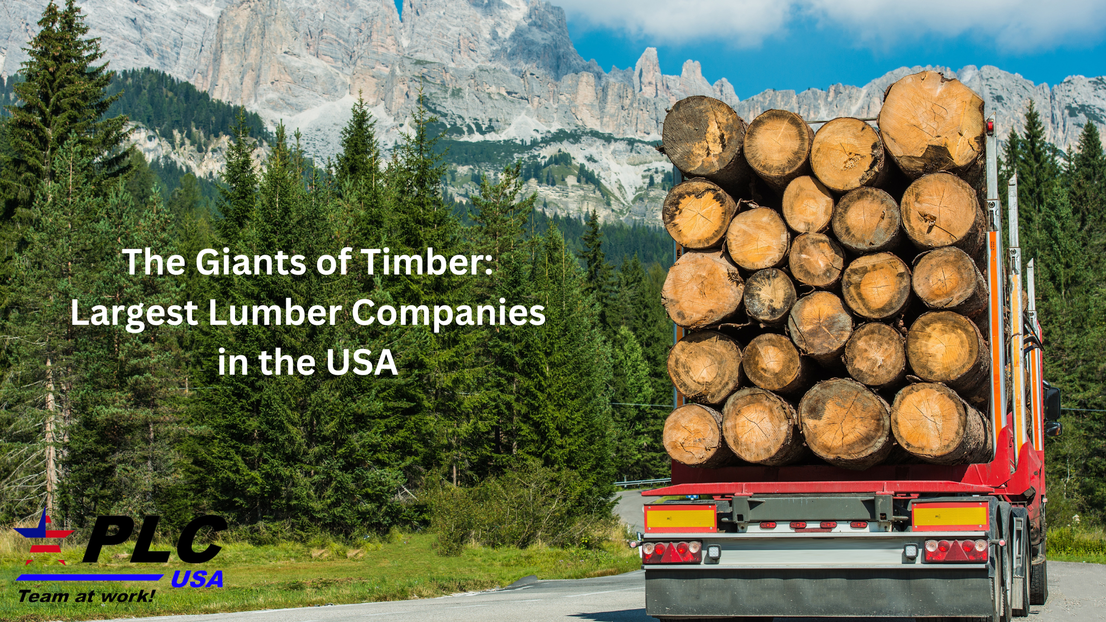 The Giants of Timber Largest Lumber Companies in the USA Banner